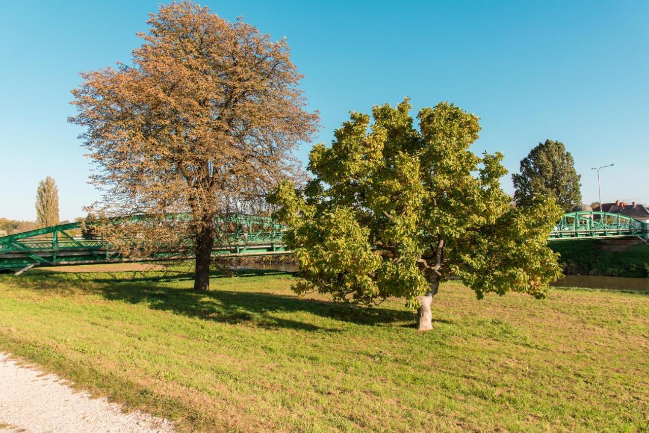 Hotel Halaszcsarda-Panzio Körmend Exteriér fotografie